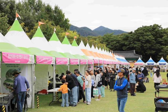 올해는 함양산삼축제 20주년을 맞아 더욱 다채로운 프로그램으로 꾸며진다. 함양군 제공