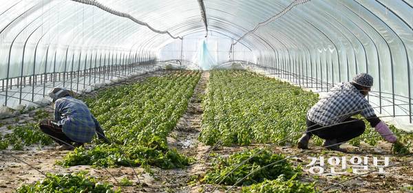 성남에서 일하다 다친 이주노동자가 산업재해를 인정받고도 1천만원이 넘는 치료비를 스스로 부담한 것으로 파악됐다. 사진은 기사 내용과 관련 없음. /경인일보DB