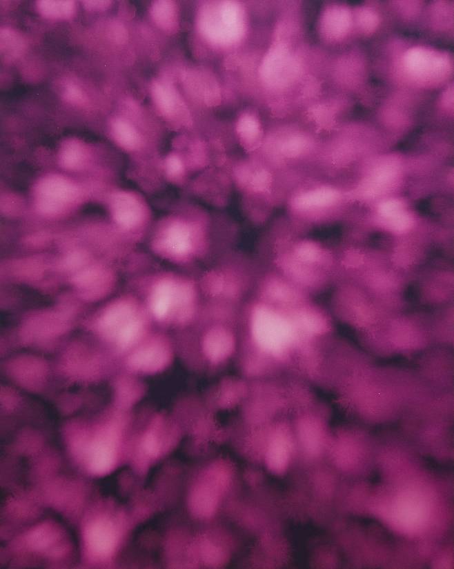 최선作 ‘별똥 떨어지던 날’