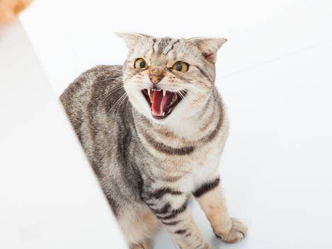 게티이미지뱅크