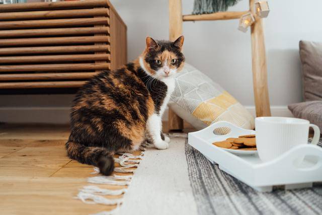 게티이미지뱅크