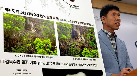 국립생태원 멸종위기종복원센터 정길상 복원연구실장이 16일 정부세종청사 환경부 기자실에서 멸종위기종 Ⅰ급 검독수리 번식 둥지를 제주도에서 77년 만에 확인했다고 설명하고 있다. 연합뉴스