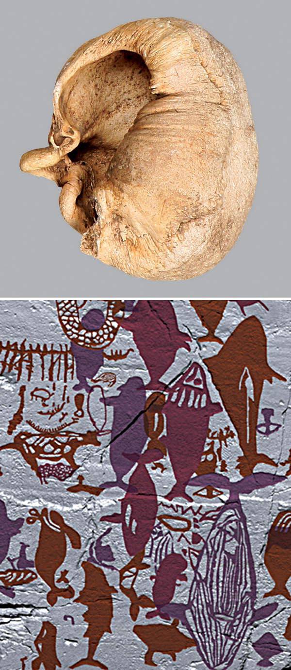 동삼동패총에서 출토된 혹등고래 귀뼈(위)와 반구대 암각화 고래 그림(3D 스캔). 부산박물관, 국립문화유산연구원 제공