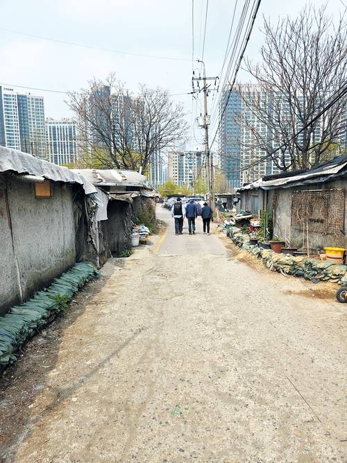 불법 무허가 판자촌이 늘어선 서울 강남구 개포동의 구룡마을 도로 사이로 주민들이 걸어가고 있다. 서울시청 제공