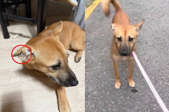 사진=케어 공식 홈페이지