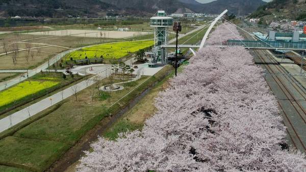 황산공원 전경. 양산시 제공.