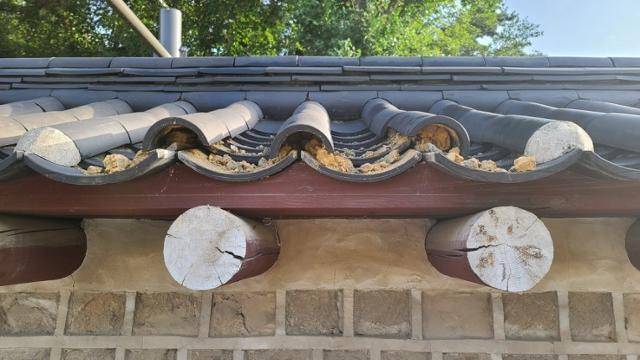 훼손된 종묘 담장 모습. 국가유산청 제공