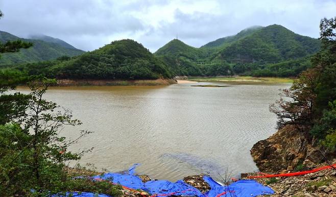 저수율 50% 넘긴 강릉 오봉저수지. 연합뉴스