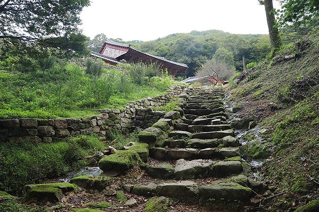 험준한 협곡 위쪽 별천지 같은 평지에 화암사가 둥지를 틀었다. 이름 그대로 바위에 핀 꽃이다.