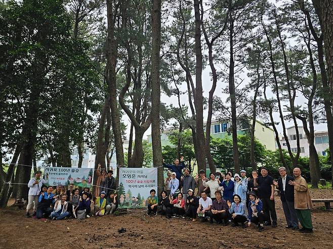 서귀포 동홍동 솔숲 / 사진=한국내셔널트러스트 누리집