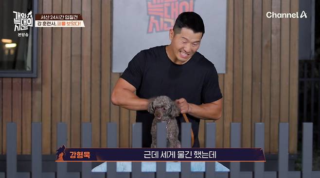 사진=채널A '개와 늑대의 시간'