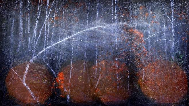 ▲ 이만우 자작 2025.