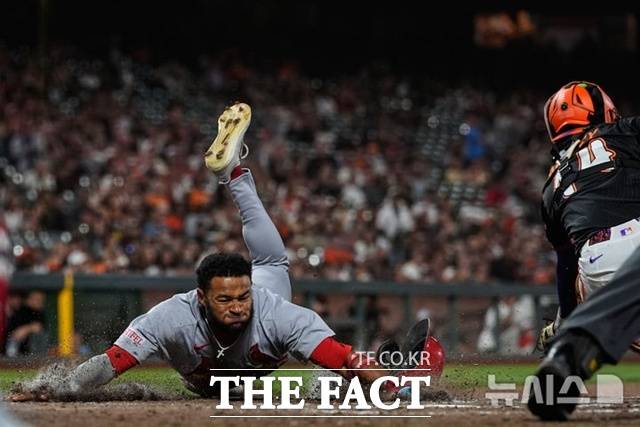 세인트루이스 빅터 스콧 2세가 24일(한국시간) 샌프란시스코전에서 8-8인 9회초 브랜던 도노반의 2루타 때 홈으로 슬라이딩해 결승점을 뽑아내고 있다. /샌프란시스코=AP.뉴시스
