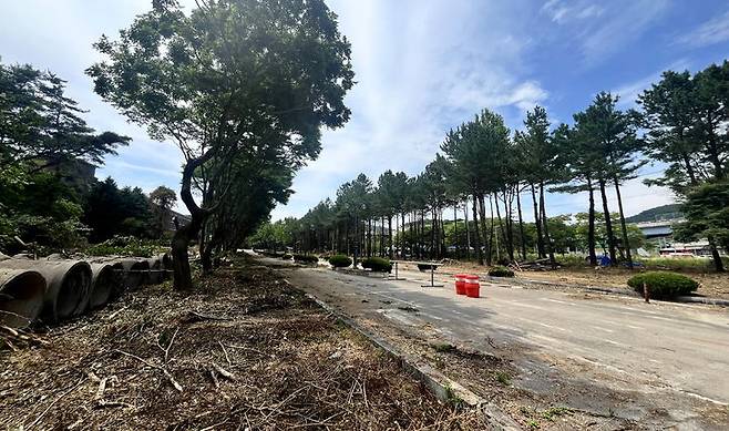 남원시와 전북대의 남원글로컬캠퍼스 조성사업이 순조롭게 추진되고 있다. 남원글로컬캠퍼스로 변모할 옛 서남대의 환경정비가 진행 중이다. *재판매 및 DB 금지