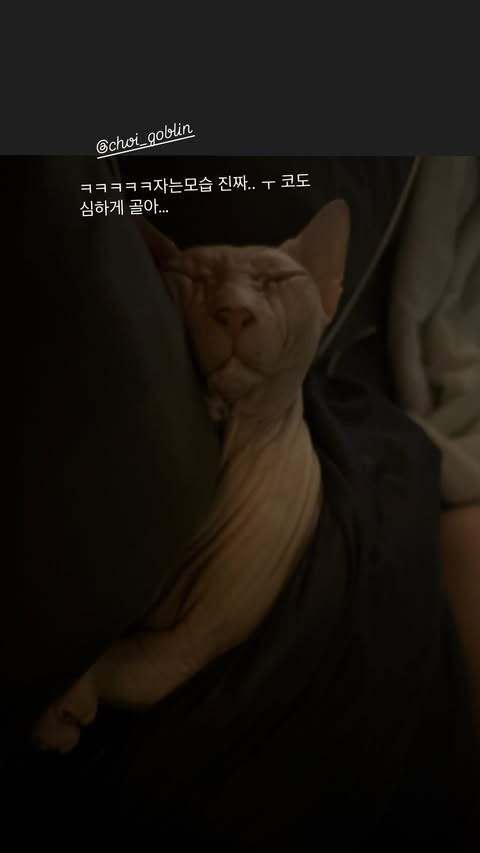 그는 SNS를 통해 애정 어린 사랑을 드러냈다. 김선아 SNS 캡처