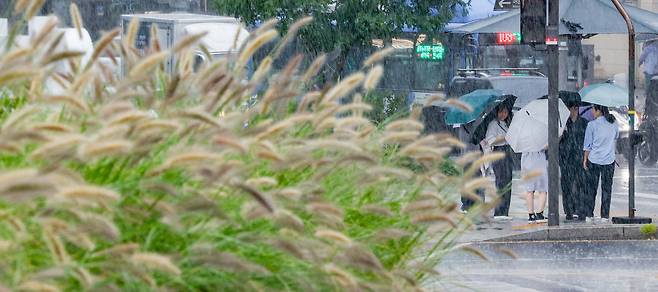 전국 대부분 지역에 가을비가 내린 24일 서울 종로구 열린송현 녹지광장에 심어진 수크령 인근에서 시민들이 비를 피하고 있다.