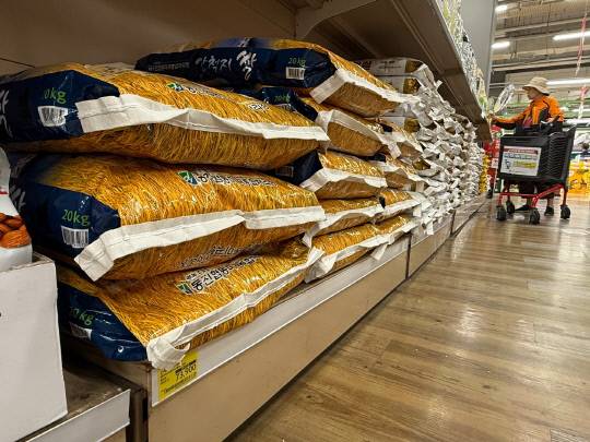 25일 대전의 한 대형마트 곡물 코너에서 시민이 쌀을 고르고 있다. 이날 대전 지역에 유통된 20㎏들이 쌀 소매가격은 6만 6375원으로, 지난해 전년보다 34.7% 오른 것으로 나타났다. 이다온 기자