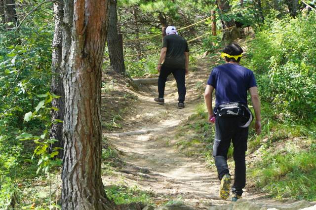 ▲ 묵호고등학교 부근 등산로 입구에서 초록봉 정상까지는 약 3㎞다. 초반부터 경사진 오르막이다.