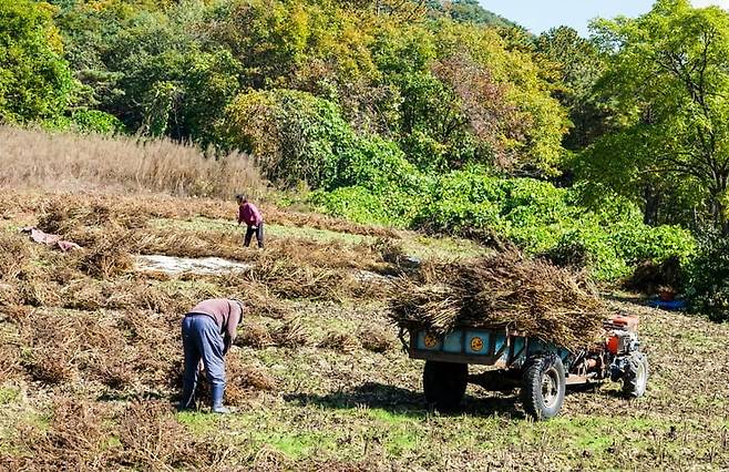 사진=게티이미지뱅크
