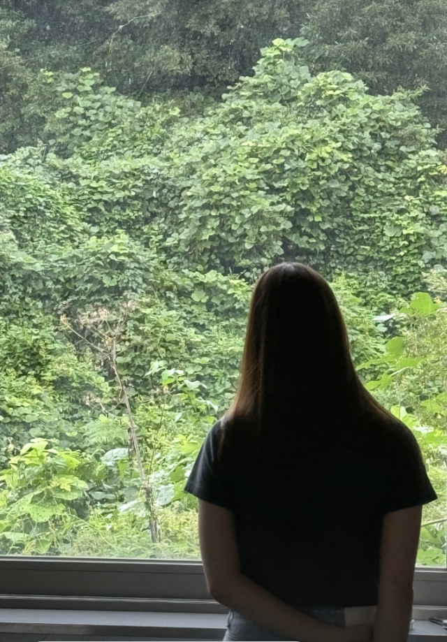 인스타그램