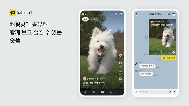 카카오톡 개편