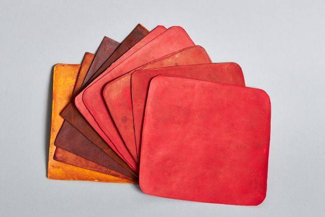 버섯 균사체로 만든 비건 가죽 시제품. 마이셀 제공