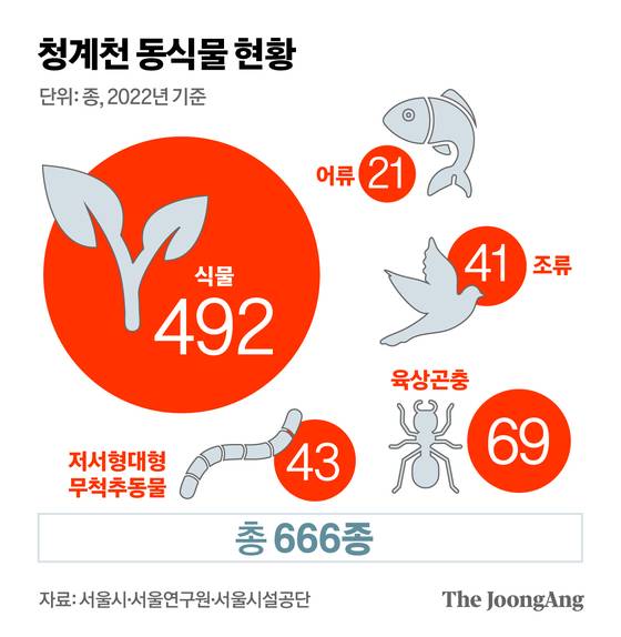 정근영 디자이너