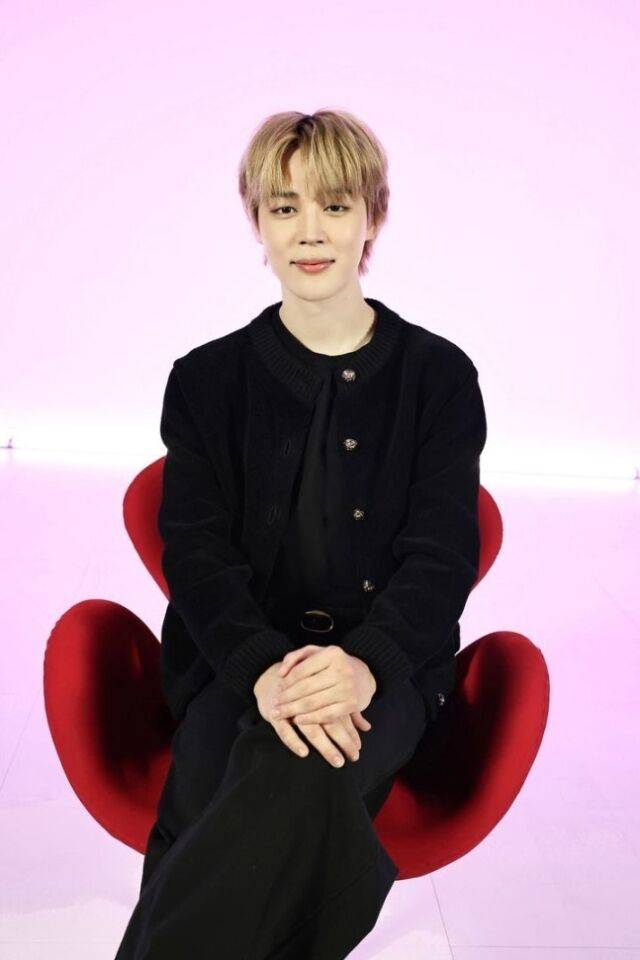 방탄소년단 지민 / 빅히트뮤직