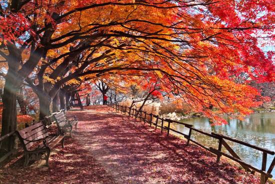 내수면 생태공원.