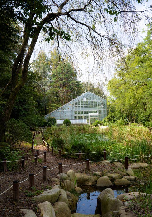 서울대학교 관악(안양)수목원 유리온실과 수생식물원이 서정적인 그림을 만들고 있다.