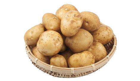 클립아트코리아