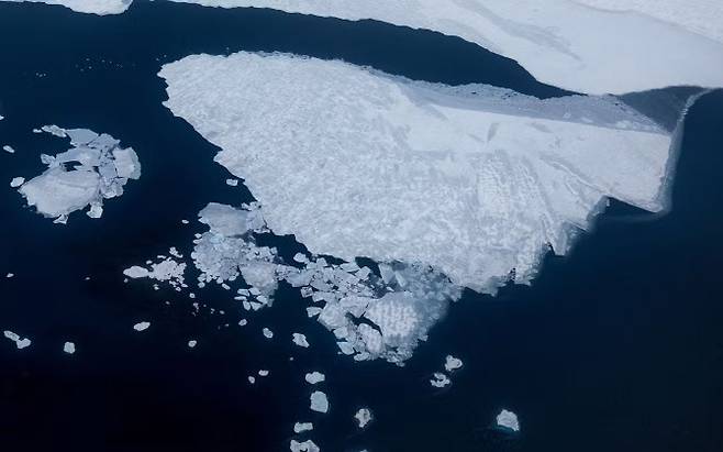 북극해의 해빙.(사진=로이터)