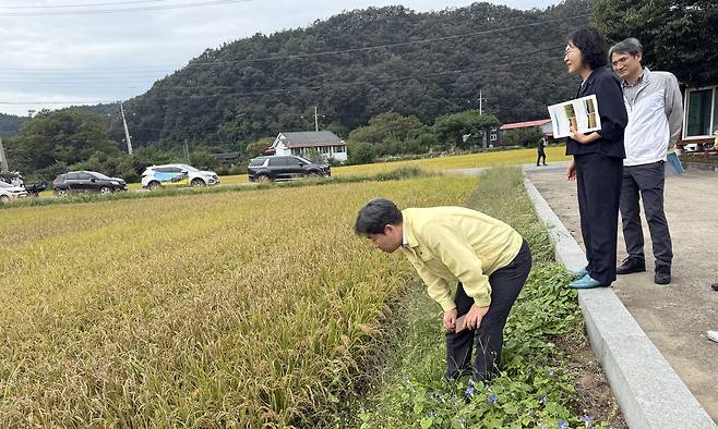 곽도연 농촌진흥청 국립식량과학원장이 2일 전라남도 화순군을 찾아 벼 깨씨무늬병 발생 현황을 점검하고 있다. (농촌진흥청 제공) 2025.10.2 /뉴스1