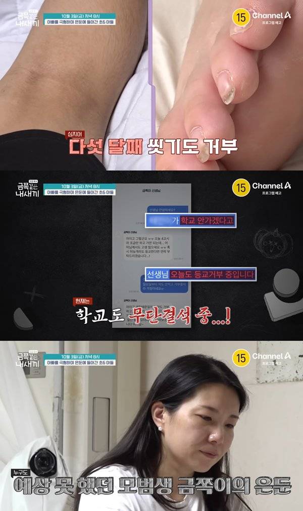 ⓒ채널A