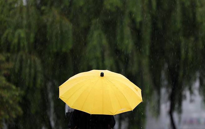 가을비가 내린 지난달 28일 서울 서초구 세빛섬 인근에서 시민들이 우산을 쓰고 발걸음을 재촉하고 있다. 뉴시스