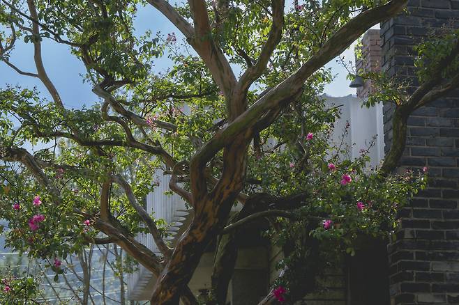 영화 ‘어쩔수가없다’ 스틸