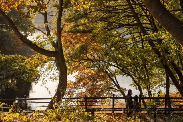 구례 천은사 상생의 길. 사진 제공=전라남