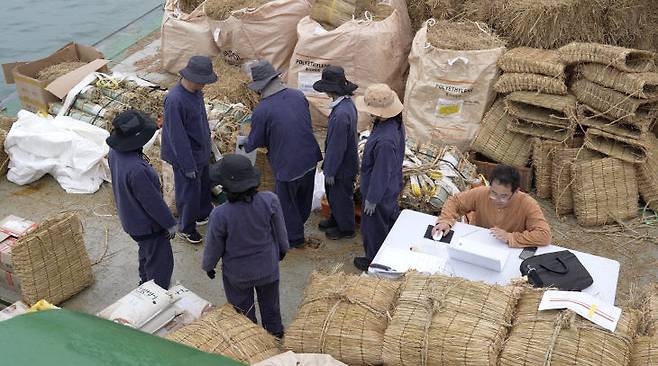 국립해양유산연구소가 쌀과 콩을 실은 조운선의 침몰을 재현하기 위해 볏집으로 만든 쌀가마와 청자다발을 만든 모습. (사진=국립해양유산연구소 제공)