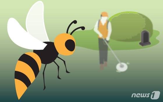 “성묘 갈 때 조심!” 벌쏘임 추석 때 많다[벌통을