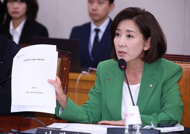 나경원 국민의힘 의원. 뉴시스