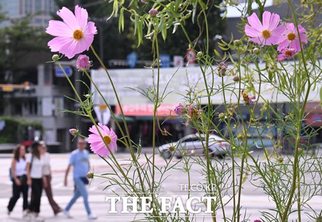 9일 늦더위가 물러나면서 중부지방은 가을 날씨를 되찾겠다. /이새롬 기자