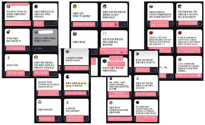 김하은(25)씨가 초롱이 계정을 통해 팬들과 소통한 내용들. 인스타그램 갈무리