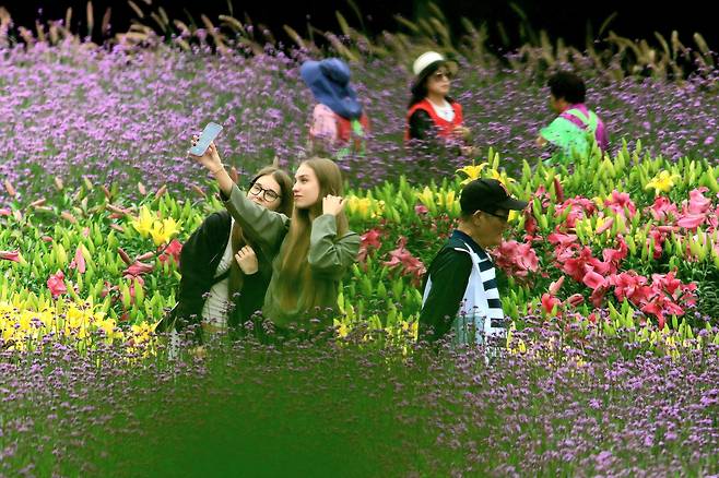 '2025 인제 가을꽃 축제'가 지난달 27일부터 오는 19일까지 강원 인제군 북면 용대리 일원에서 열리고 있는 가운데 외국인 관광객들이 지난 4일 축제장을 찾아 연휴를 즐기고 있다. /인제군 제공