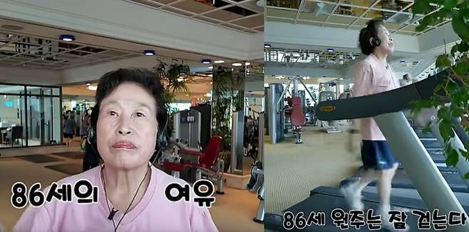 사진 = 유튜브 채널 '전원주인공'