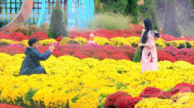 지난 11일 강원 인제 북면 용대리 일원에서 열리는 가을꽃 축제장을 찾은 관광객들이 우산을 쓰고 가을 정취를 만끽하고 있다. 지난달 27일 개막한 축제는 ‘인제에서 꽃길만 걷자’를 주제로 오는 19일까지 이어진다. (인제군 제공. 재판매 및 DB 금지) 2025.10.11/뉴스1 ⓒ News1 한귀섭 기자