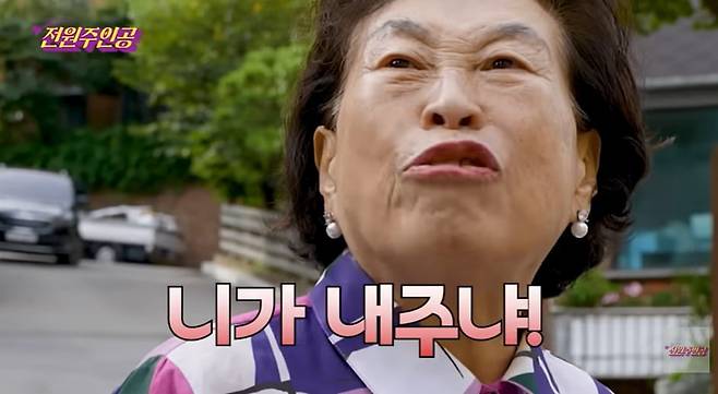 사진 = 유튜브 채널 '전원주인공' 캡처