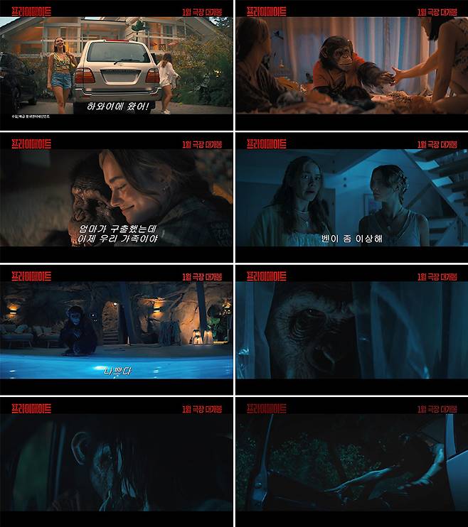 프라이메이트 예고편