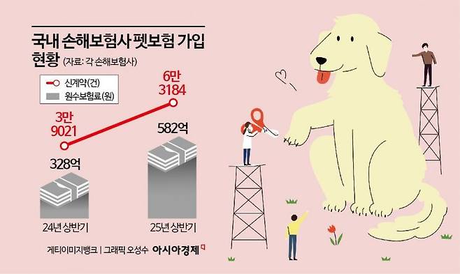국내 12개 손해보험사 펫보험 가입 현황.