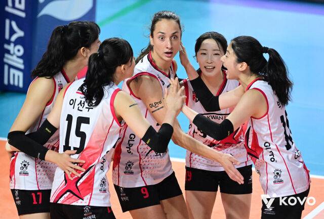 새로운 조합으로 새 시즌을 맞이한 정관장./KOVO