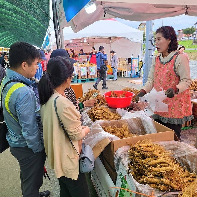 풍기인삼축제를 찾은 방문객이 인삼판매상과 흥정을 하고 있다. 권기웅 기자